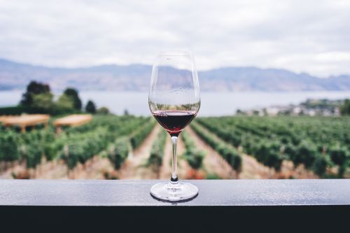 Restaurants and Wineries