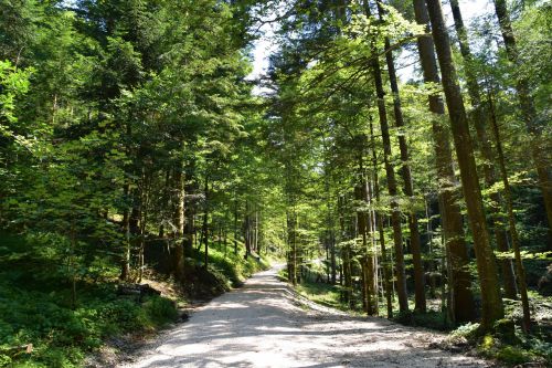 Scenic Walks and Hikes